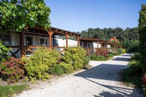 eine Reihe von Cottages mit Büschen und Bäumen in der Unterkunft Aranypart Camping in Siófok