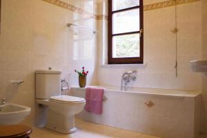 Koupelna v ubytování Villa gli Ulivi - Fivizzano + 23 fotografií