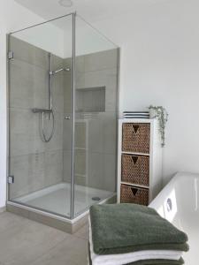 y baño con ducha y puerta de cristal. en Grüne Oase im Teutoburger Wald en Georgsmarienhütte