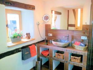 ein Badezimmer mit einem Waschbecken und einem großen Spiegel in der Unterkunft Wellness-Ferienhaus Maifelder Uhlenhorst in Gappenach