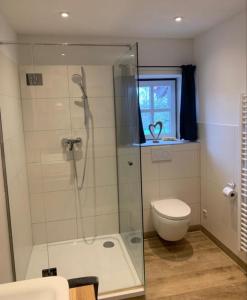 a bathroom with a shower and a toilet and a window at Moarhof Ferienwohnung1 in Dietramszell