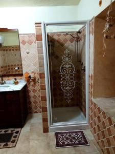 y baño con ducha y puerta de cristal. en Sardinia House, en Villamassargia