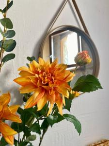 uma flor amarela num vaso em frente a um espelho em Crocoloft Nimes Centre em Nîmes