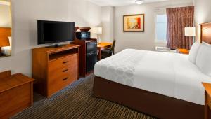 Sjónvarps- og/eða afþreyingartæki á Magnuson Hotel Detroit Airport