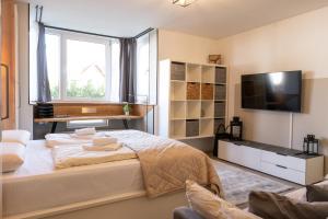 um quarto com uma cama grande e uma televisão em Traumhaft schöne Welt - Stilvolles Apartment mit Küche und Bad em Bielefeld