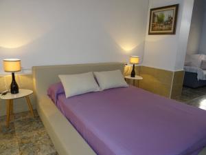 1 dormitorio con 1 cama con sábanas moradas y 2 lámparas en La Casa del Campo de La Matanza, 