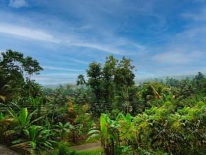 vistas a una selva con árboles y arbustos en Villa of Green en Galle