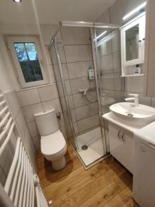 a bathroom with a shower and a toilet and a sink at Dom w lesie nad rzeką z komnkiem in Mlądz