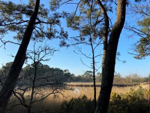 a view of a field through the trees at Camping de la Plage de Cleut-Rouz in Fouesnant