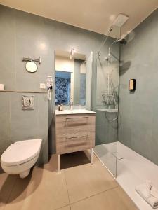 a bathroom with a toilet and a shower and a sink at Hôtel Les Herbes Folles in Mauregard