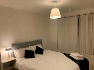 a bedroom with a bed with two pillows and a lamp at 2 Bedrooms Apartment In RG Centre in Reading
