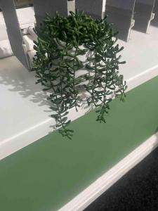 a green plant sitting on a white shelf at One2One - Duplex Relocations in Wakefield