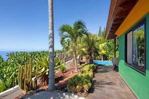 una casa con una palmera y una piscina en Las Vetas en Tijarafe
