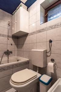 a bathroom with a toilet and a sink and a tub at Apartment Satya in Dobrna
