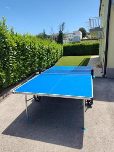 a blue ping pong table sitting outside of a building at Villa Katarina in Zmijavci