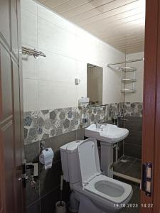 La salle de bains est pourvue de toilettes et d'un lavabo. dans l'établissement INJIR Hostel, à Douchanbé