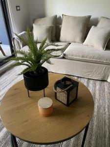 Afbeelding uit fotogalerij van Apartamento Nuevo Pucón in Pucón