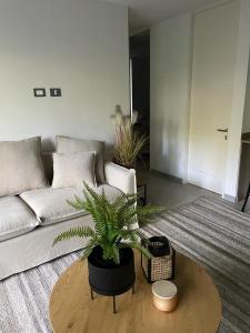 Afbeelding uit fotogalerij van Apartamento Nuevo Pucón in Pucón