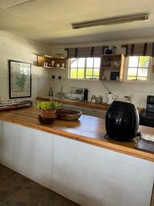 eine Küche mit einer Theke mit einer Obstschale darauf in der Unterkunft Bekkersvlei - Die Huis in Haenertsburg