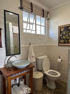 ein Badezimmer mit einem WC, einem Waschbecken und einem Spiegel in der Unterkunft Bekkersvlei - Die Huis in Haenertsburg