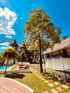 琅勃拉邦The Jam Hostel Luang Prabang的相册照片