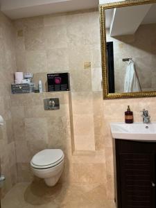 a bathroom with a toilet and a sink and a mirror at Copou Central Linden Suite in Iaşi