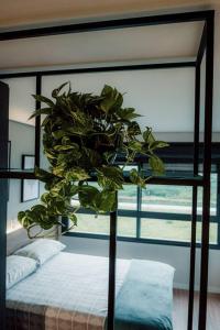 a plant sitting on top of a bed in a bedroom at Studio contemporâneo no Parque Una com garagem in Pelotas