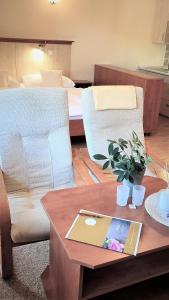 Foto dalla galleria di Hotel Ambra a Luhačovice