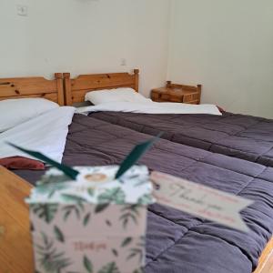 two beds in a hotel room with two beds at Apollon inn in Arachova +6 photos