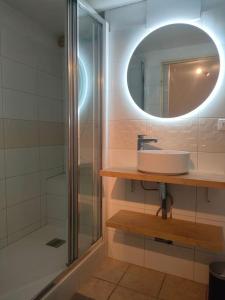 a bathroom with a sink and a shower and a mirror at Au petit Payolle - Appartement type Chalet sur le Lac de Payolle in Campan