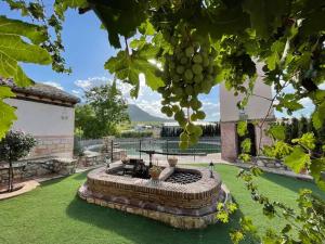 a garden with a table and a bunch of grapes at Cortijo la Noria II in Puebla de Don Fadrique