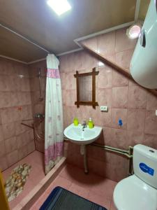 łazienka z umywalką i toaletą w obiekcie Pid Playem w mieście Wołowiec