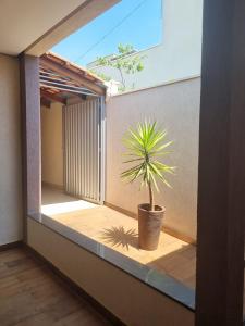 a plant in a pot sitting on a balcony at Casa de temporada in Piumhi