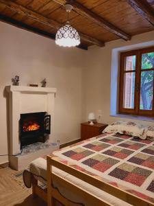 a bedroom with a bed and a fireplace at Aristos Cottage in Káto Lekhónia