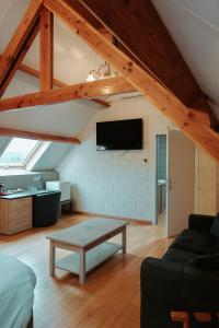TV a/nebo společenská místnost v ubytování Hotel Ter Zuidhoek + 30 fotografií