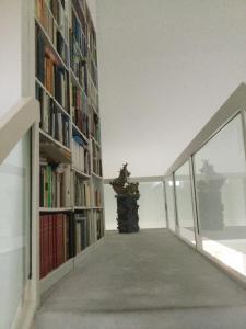 un couloir avec des étagères et une statue dans une bibliothèque dans l'établissement Einzigartige Penthauswohnung, à Nuremberg