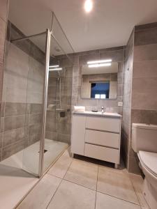 y baño con ducha, lavabo y aseo. en Hôtel L'Auberge Canaulaise en Lacanau-Océan