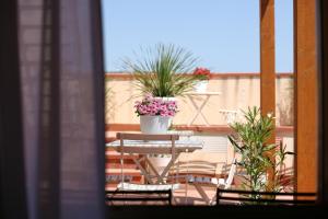 トラーパニにあるScudaniglio Apartmentsのバルコニー(鉢植えの植物が置かれたテーブル付)