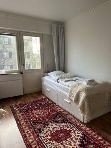 羅瓦涅米的住宿－Arctic Cozy Studio in the City，一间卧室配有一张带地毯的床和窗户