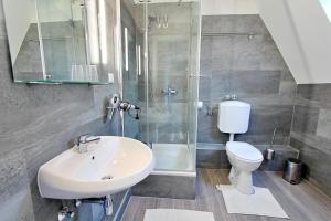 a bathroom with a sink and a toilet and a shower at Hotel Burgblick in Bonn