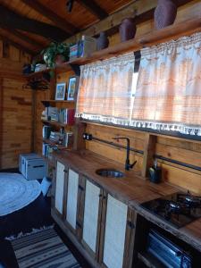 eine Küche in einem Blockhaus mit einem Waschbecken in der Unterkunft Cabana Van Gogh in Campo Alegre