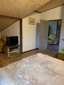Guests house Qotukner في Karbi: غرفة معيشة فيها تلفزيون وسجادة كبيرة