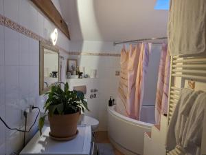 Ванна кімната в Künstlerappartment