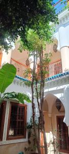 un edificio blanco con un árbol delante en Riad Asrari, en Marrakech