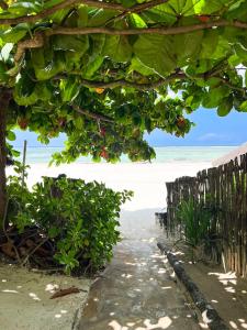 a view of the beach from under a tree at Zanzibar Retreat Hotel in Matemwe