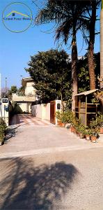a parking lot with a palm tree and a street at Grand Peace House I in Islamabad