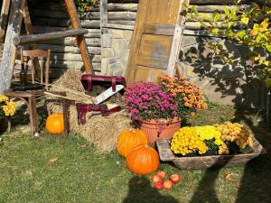 a bunch of pumpkins and flowers in a yard at Pensiunea Ioana in Rugineşti