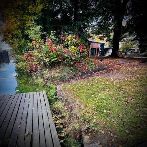 Zahrada ubytování tiny house BARACZEK Brno-Jundrov, ulice Veslařská
