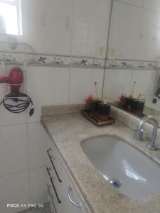 baño con lavabo y encimera con macetas en Quarto Suite - SAVASSI BH, en Belo Horizonte