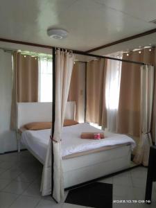 a bedroom with a bed with a canopy and curtains at De Hagan Transient Baguio City in Baguio